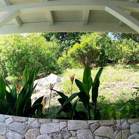 Villa Cana Et Son Spa A Terre De Haut מראה חיצוני תמונה