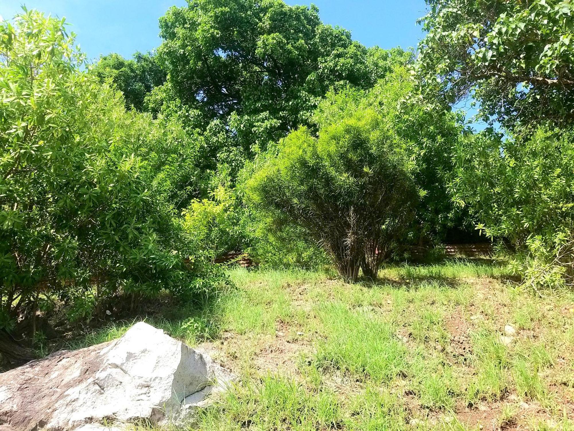 Villa Cana Et Son Spa A Terre De Haut מראה חיצוני תמונה