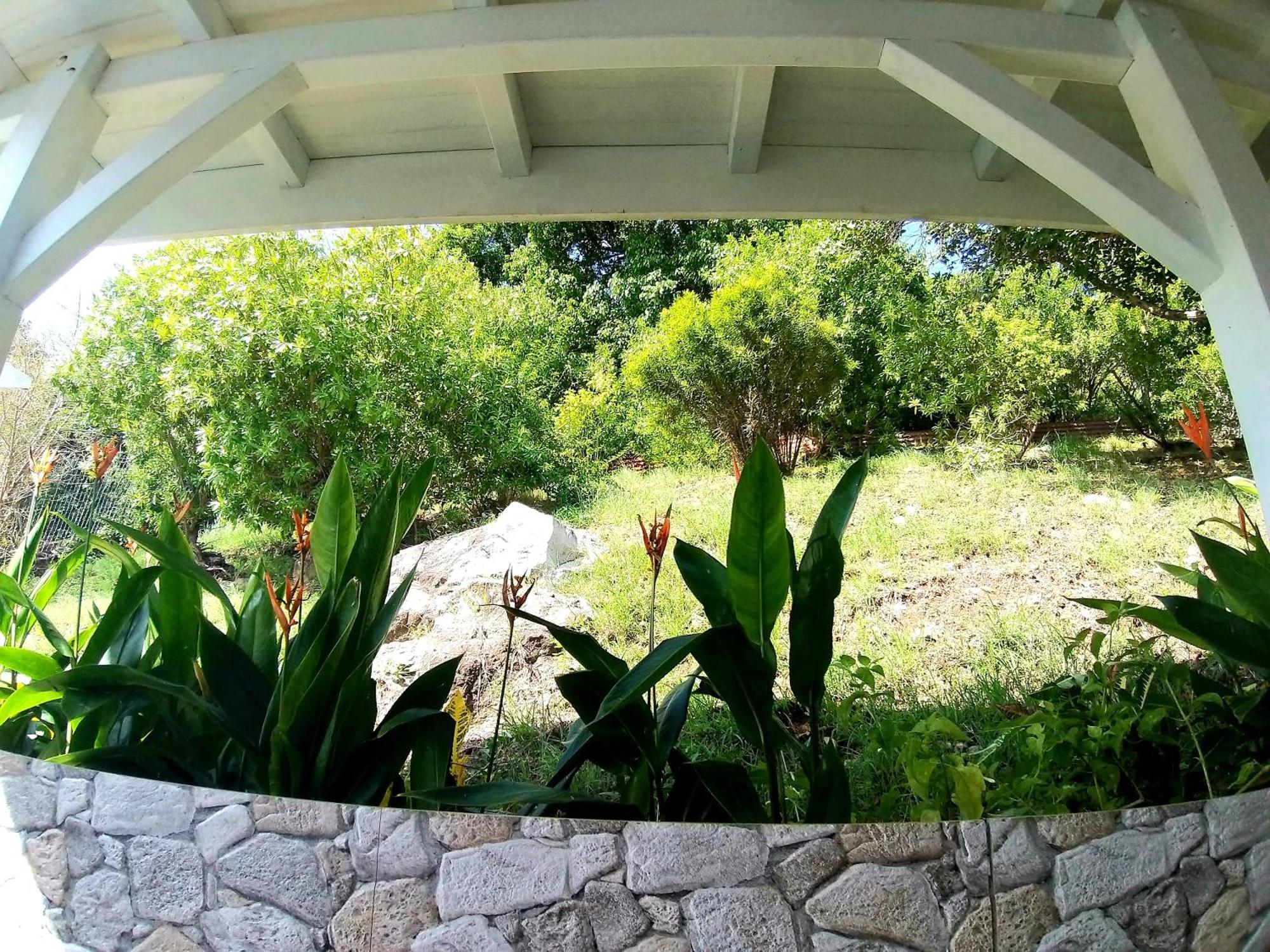 Villa Cana Et Son Spa A Terre De Haut מראה חיצוני תמונה